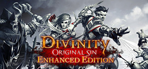 Divinity: Original Sin Enhanced Edition banner