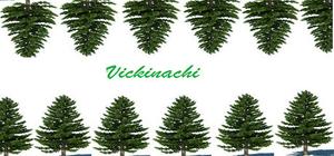 Vickinachi banner