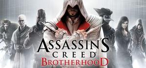 Assassins Creed Brotherhood Deluxe Edition banner