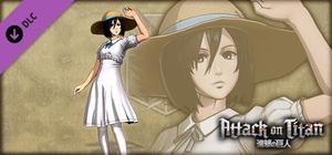 Attack on Titan - Mikasa Costume - Summer Festival banner
