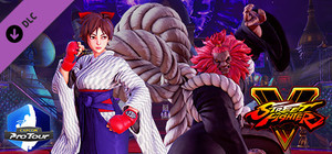 Street Fighter V - Capcom Pro Tour: 2018 Premier Pass banner