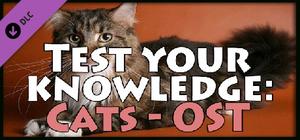 Test your knowledge: Cats - OST banner