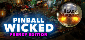 Pinball Wicked: The Frenzy Edition banner
