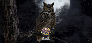 BEAST banner