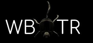 WBTR - Welcome Back To Reality banner