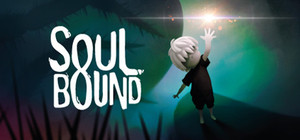 Soulbound banner