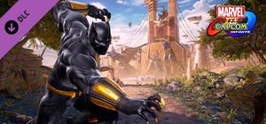 Marvel vs. Capcom: Infinite - Black Panther banner