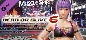 DOA6 Ayane Deluxe Costume banner