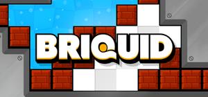 Briquid banner