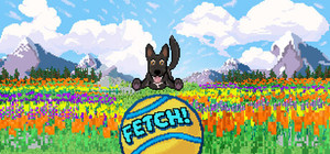 FETCH banner