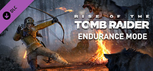 Endurance Mode banner