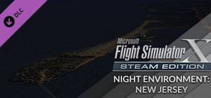 FSX Steam Edition - Night Environment: New Jersey Add-On banner