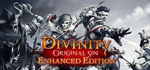 Divinity: Original Sin Enhanced Edition - Collector's Edition banner