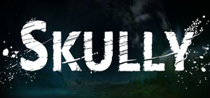 Skully banner