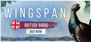 Wingspan banner