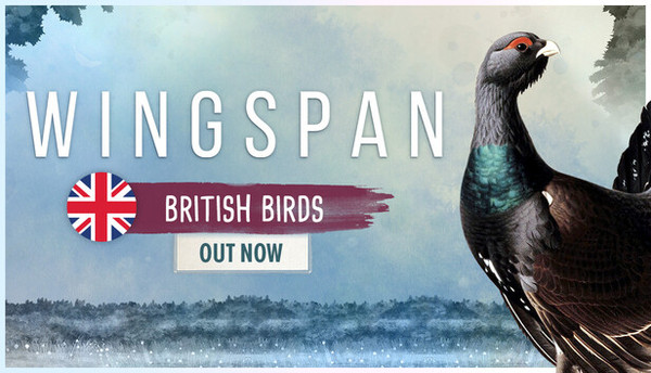 Wingspan