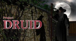 Project Druid - 2D Labyrinth Explorer banner