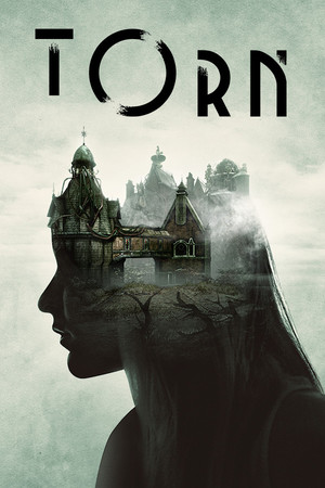 Torn のセール価格