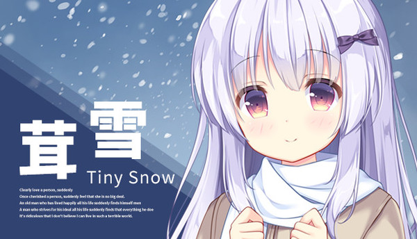 Tiny Snow
