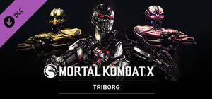 Triborg banner