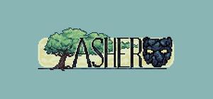 Asher banner