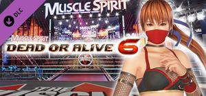 DOA6 Kasumi Deluxe Costume banner