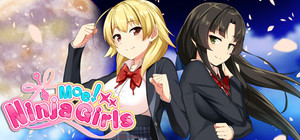 Moe! Ninja Girls banner