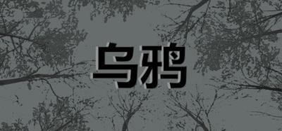 乌鸦 - Crows banner