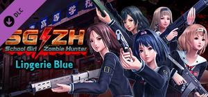 Lingerie Blue banner
