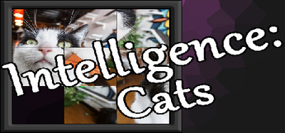 Intelligence: Cats