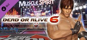 DOA6 Hayabusa Deluxe Costume banner