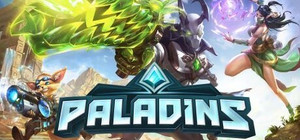 Paladins banner