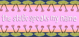 the static speaks my name banner