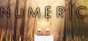 NUMERIC banner