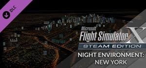 FSX Steam Edition: Night Environment: New York Add-On banner