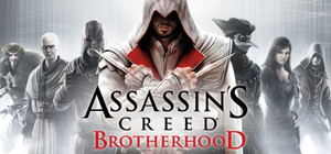Assassin's Creed Brotherhood banner