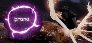 Prana banner