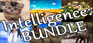 Intelligence bundle banner