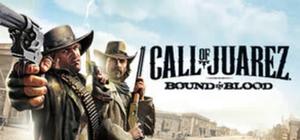 Call of Juarez 2: Bound in Blood banner