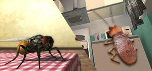 Battle Insects banner