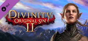 Divinity: Original Sin 2 - Divine Ascension banner