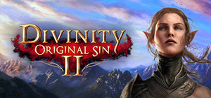 Divinity: Original Sin 2 - Divine Edition banner