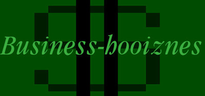 Business-hooiznes