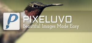 Pixeluvo banner