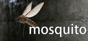 Mosquito banner