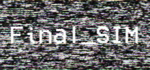 Final_SIM banner