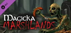 Magicka: Marshlands banner