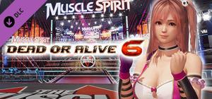 DOA6 Honoka Deluxe Costume banner