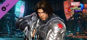 Marvel vs. Capcom: Infinite - Winter Soldier banner