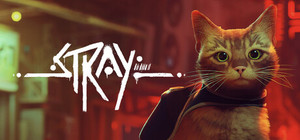 Stray banner